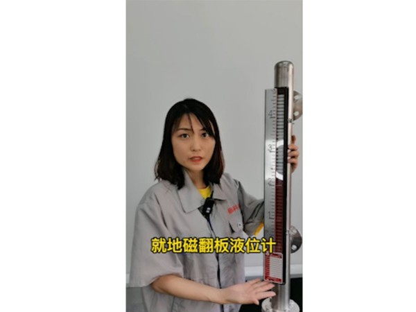 磁翻板液位計(jì)怎么實(shí)現(xiàn)遠(yuǎn)傳？視頻講解