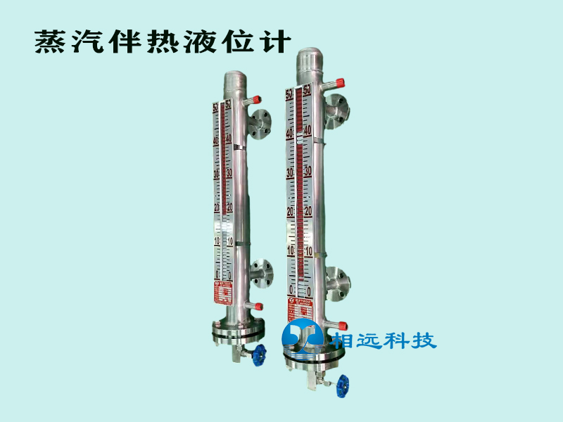 蒸汽伴熱液位計(jì)