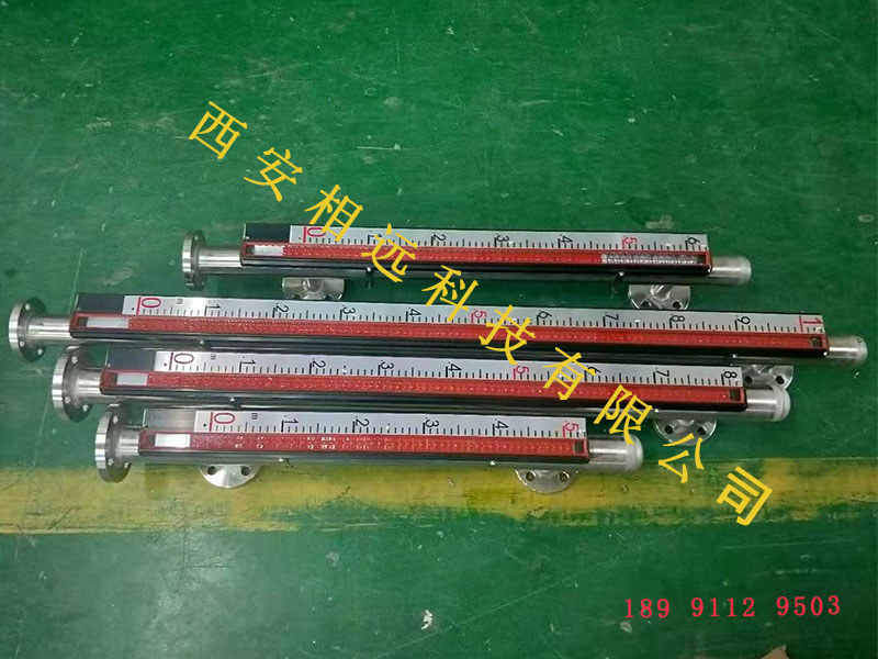 磁浮子液位計10